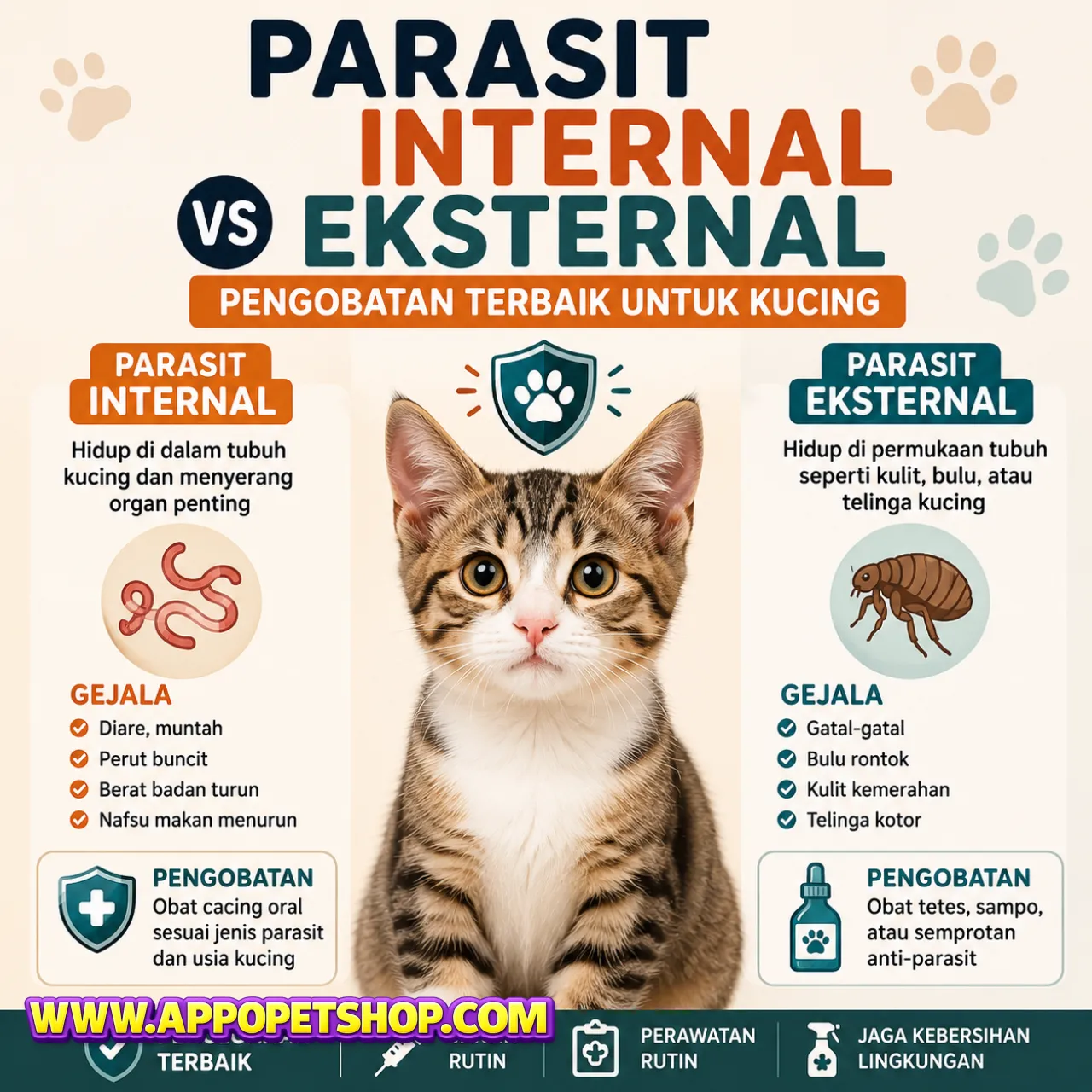 Parasit Internal vs Eksternal pada Kucing: Pengobatan Terbaik dan Cara Mengatasinya Sejak Dini
