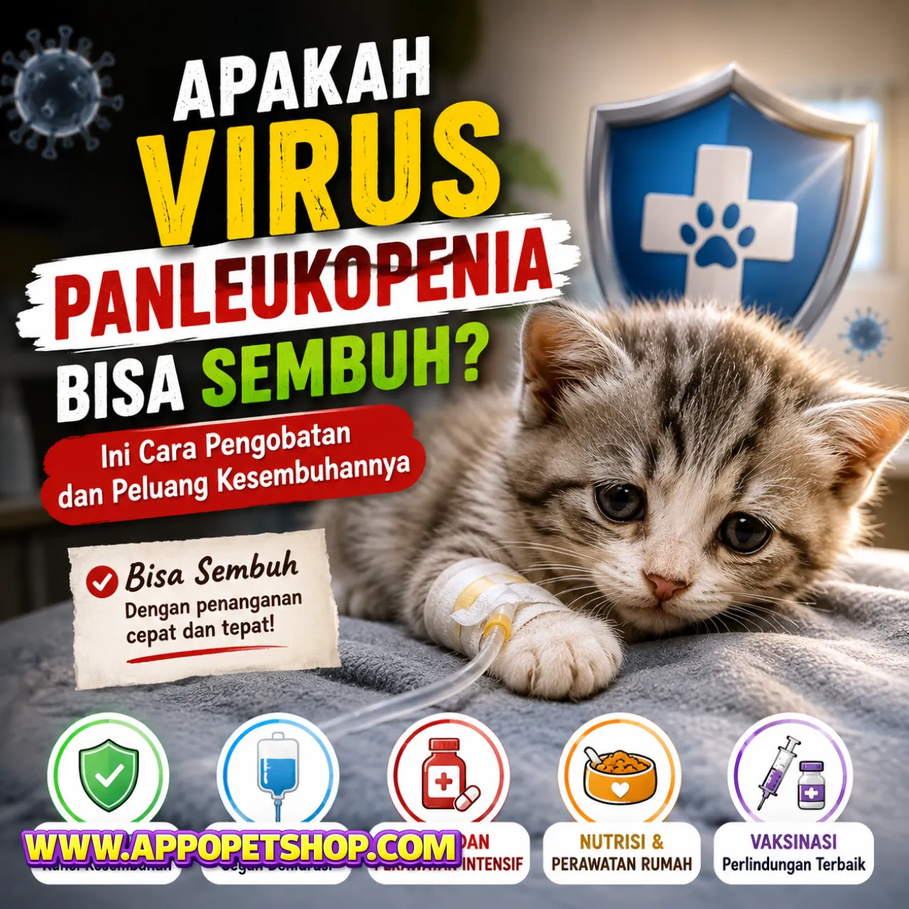 Apakah Virus Panleukopenia pada Kucing Bisa Sembuh? Ini Cara Pengobatan dan Peluang Kesembuhannya