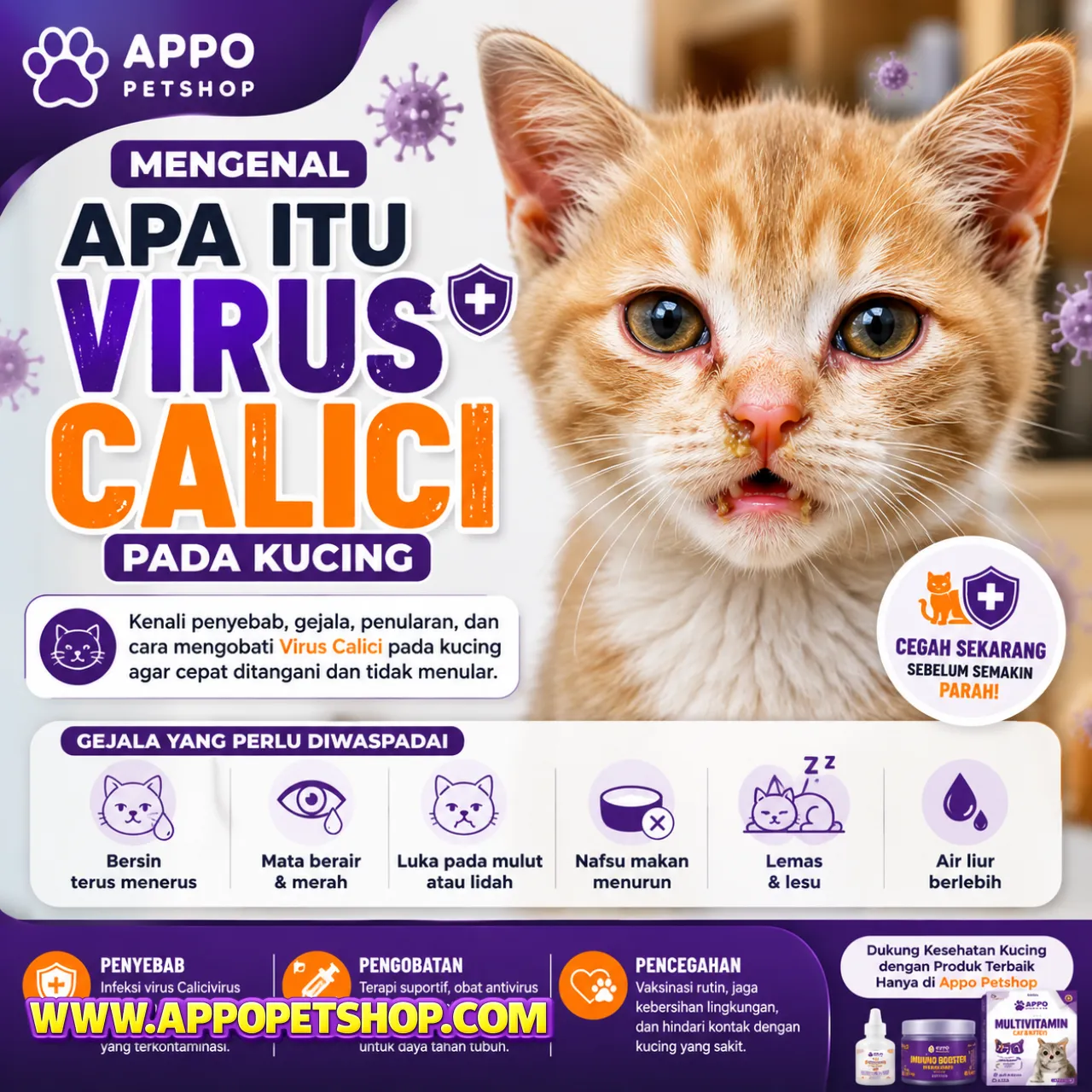 Mengenal Apa Itu Virus Calici pada Kucing: Gejala Khas, Cara Penularan, dan Langkah Penanganannya