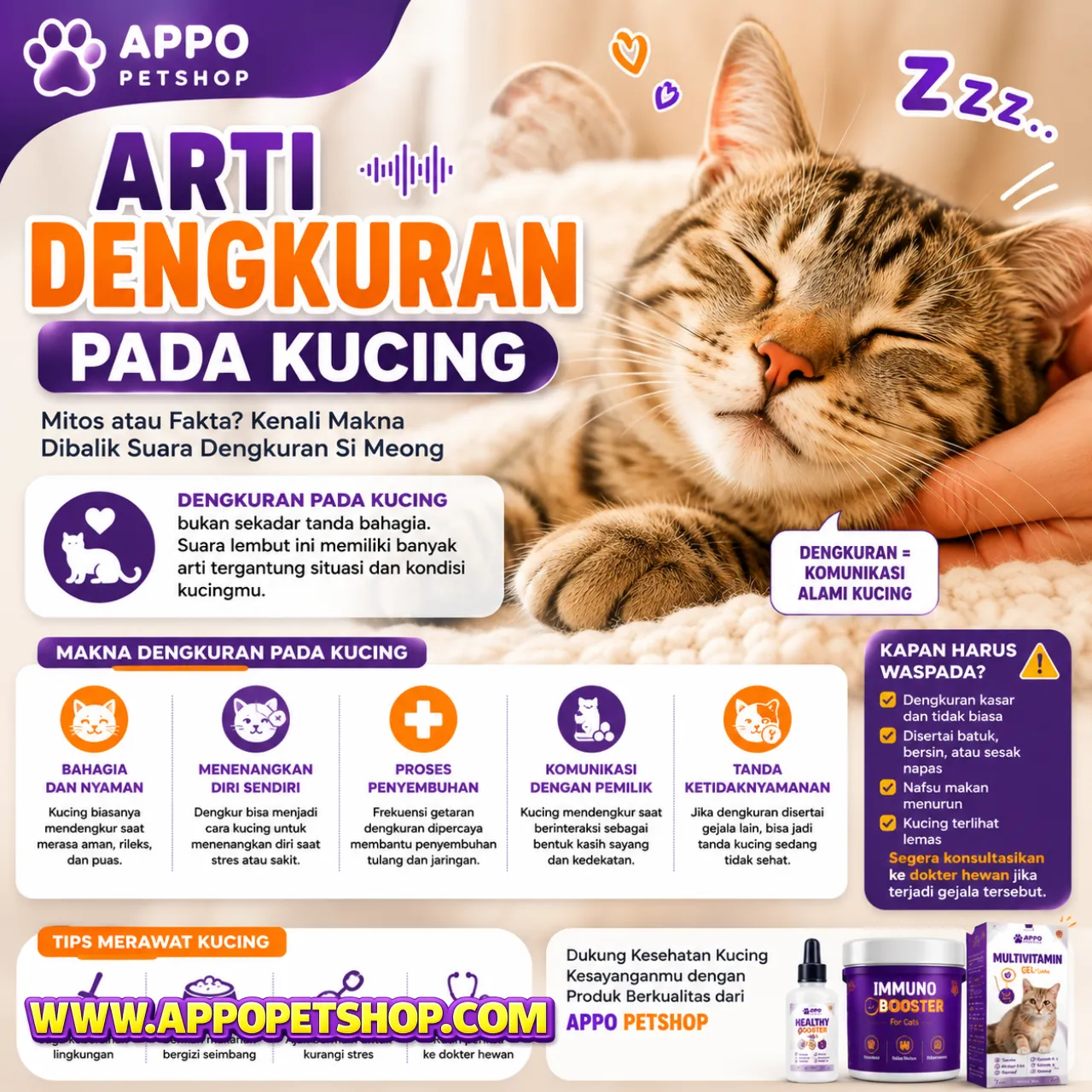 Arti Dengkuran pada Kucing: Rahasia di Balik Suara Purring, Makna Psikologis, dan Manfaatnya bagi Kesehatan