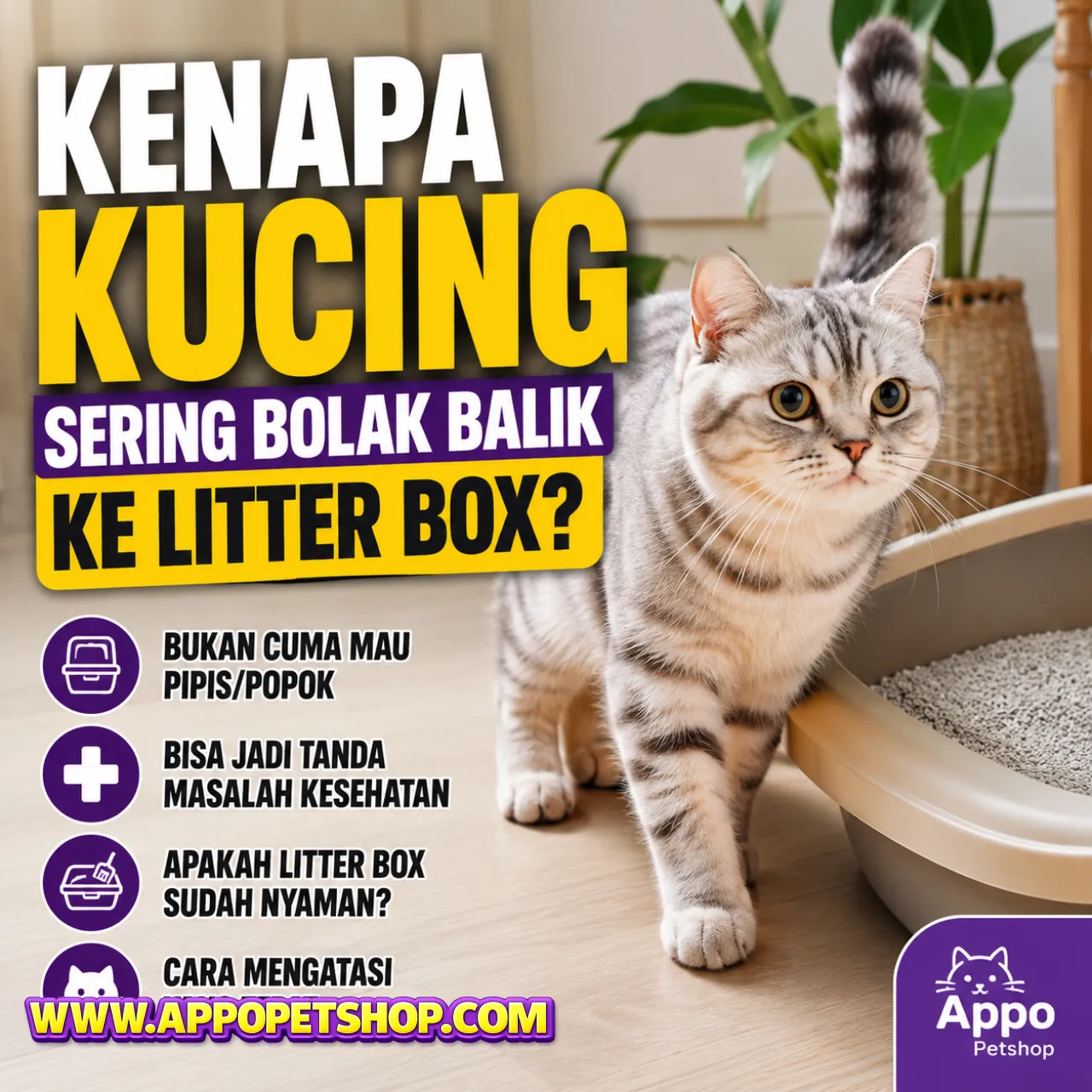 Kenapa Kucing Sering Bolak-Balik ke Litterbox? Menyingkap Alasan Perilaku, Gangguan Saluran Kemih FLUTD, Masalah Pencernaan, dan Solusi Medisnya