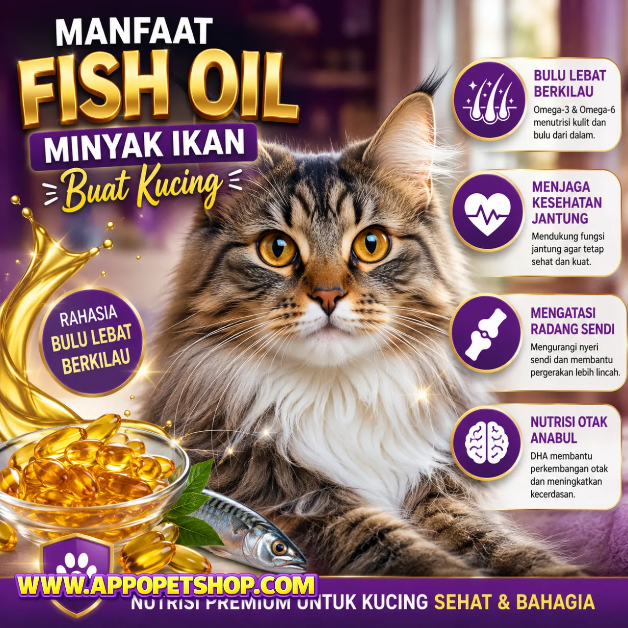 Manfaat Fish Oil Minyak Ikan Buat Kucing: Rahasia Bulu Lebat Berkilau, Menjaga Kesehatan Jantung, Mengatasi Radang Sendi, dan Nutrisi Otak Anabul