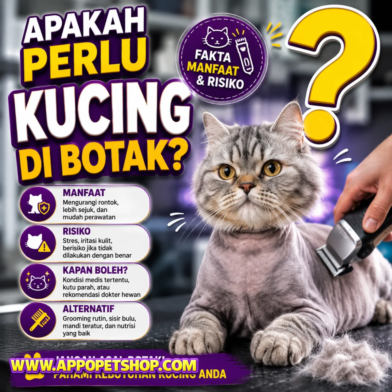 Apakah Kucing Perlu Dibotak?