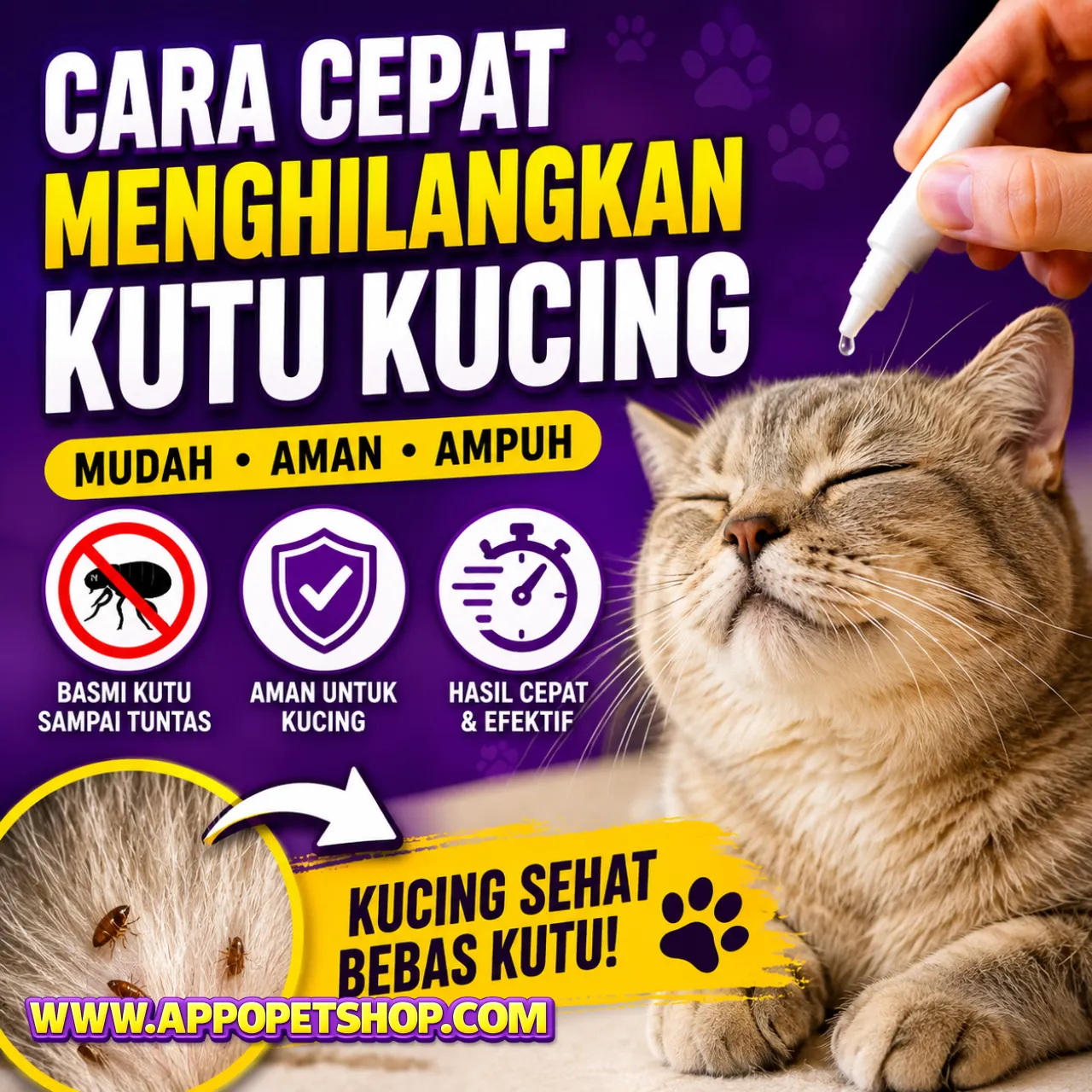 Cara Cepat Menghilangkan Kutu pada Kucing: Panduan Membasmi Flea dan Tick Sampai Tuntas, Rekomendasi Obat Tetes Avermectin, dan Cara Sterilisasi Lingkungan Rumah