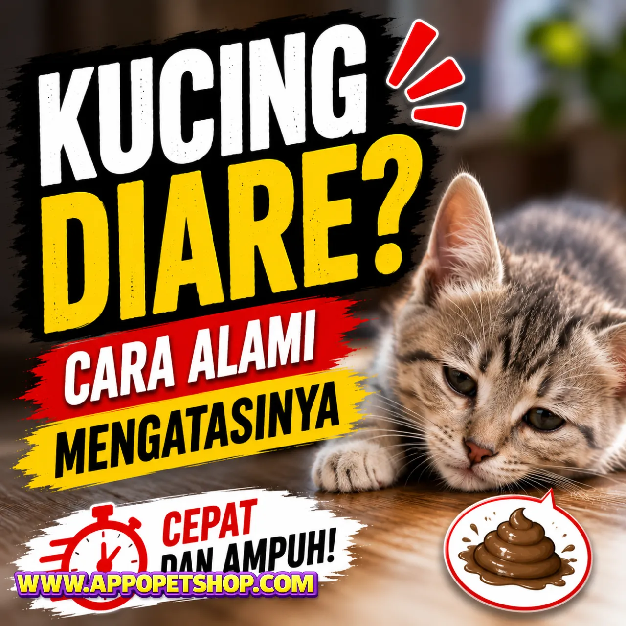 Cara Mengobati Kucing Diare Secara Alami dan Cepat