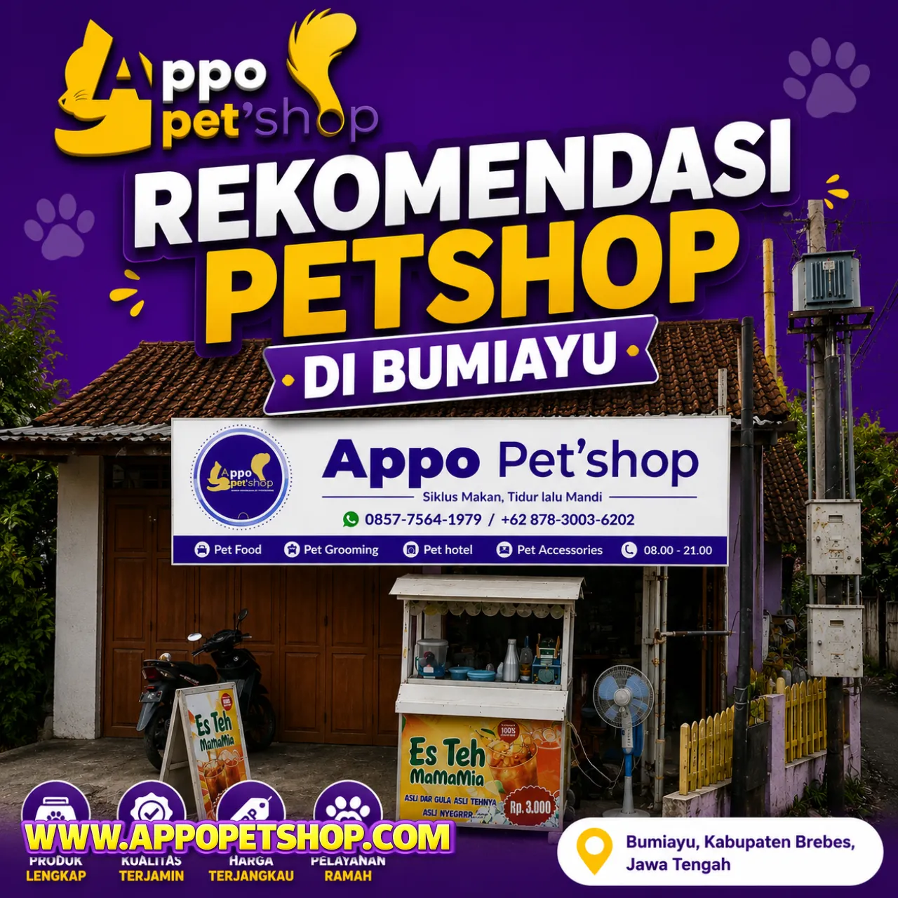 Rekomendasi Petshop di Bumiayu