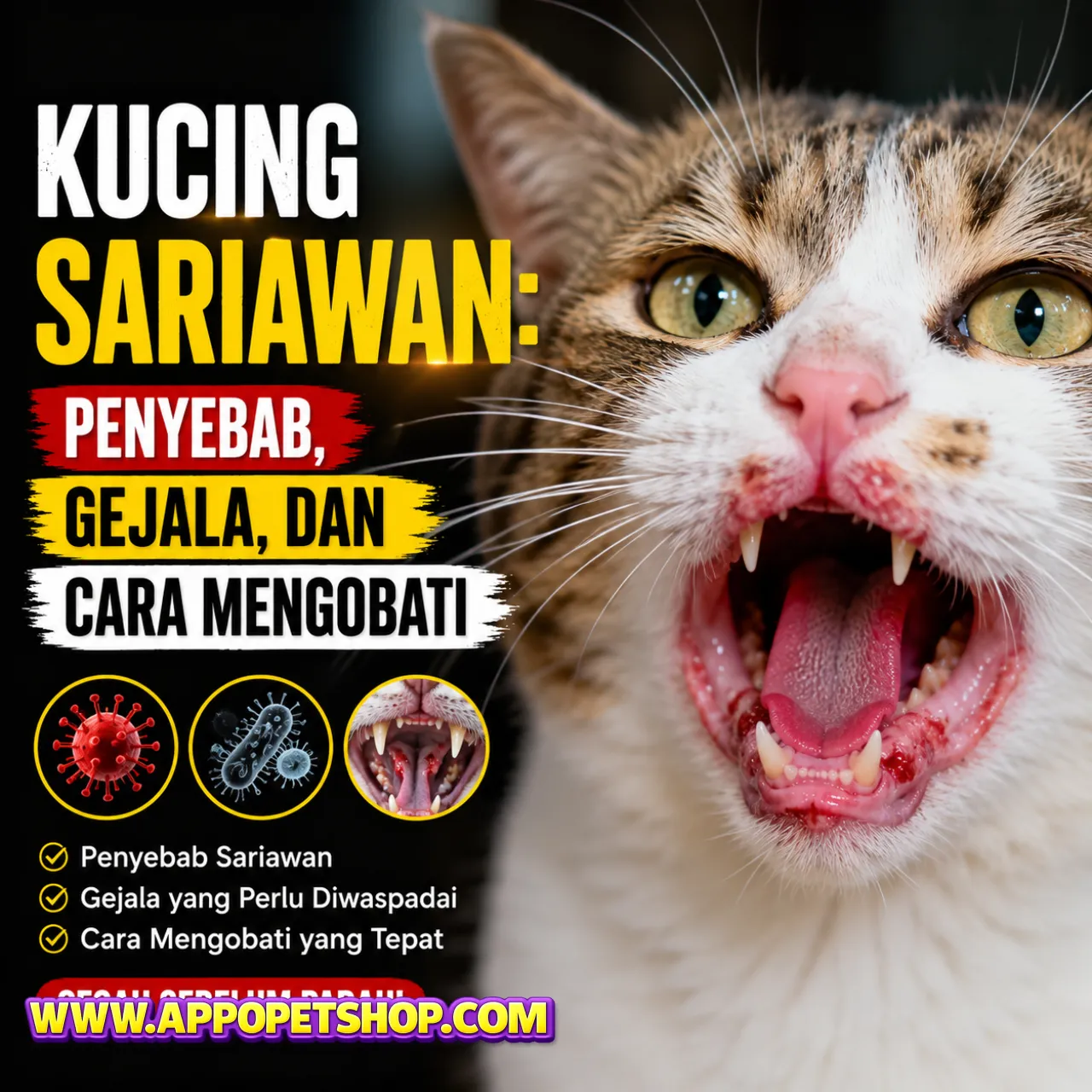 Kucing Sariawan: Penyebab, Gejala, dan Cara Mengobati