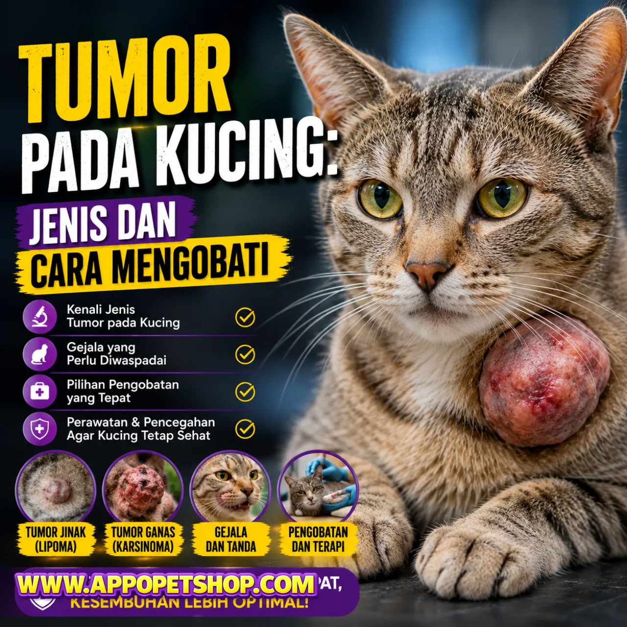 Tumor pada Kucing: Panduan Medis Veteriner Mengenali Jenis Onkologi, Karakteristik Neoplasia, dan Protokol Pengobatan Modern